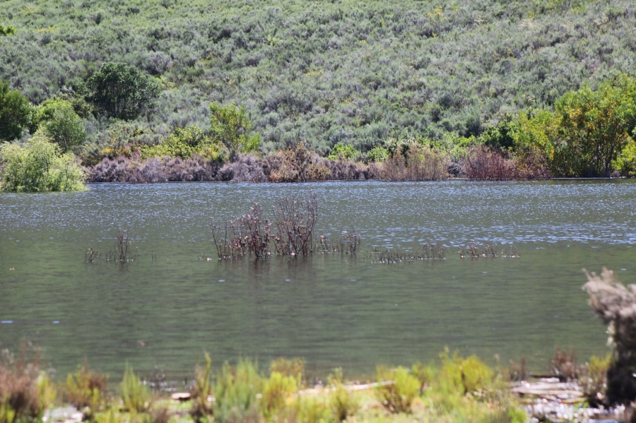 0 Bedroom Property for Sale in Uniondale Rural Western Cape